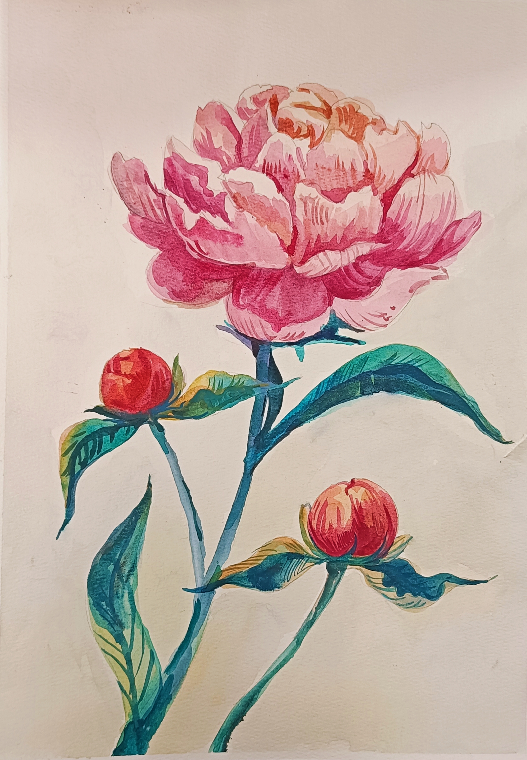 Творческое занятие «Пышные пионы» 17 мая