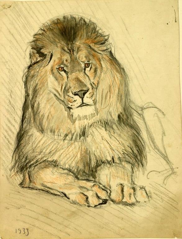 Творческое занятие «Царь зверей - лев »  (пастель) 