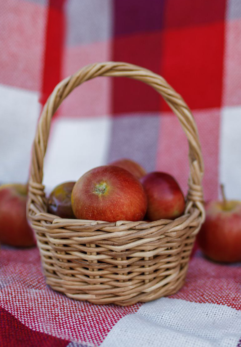 Мастер–класс по плетению мини–корзинки из эколозы 9 февраля