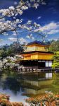 Лекция «Киото – обитель мира и спокойствия» 